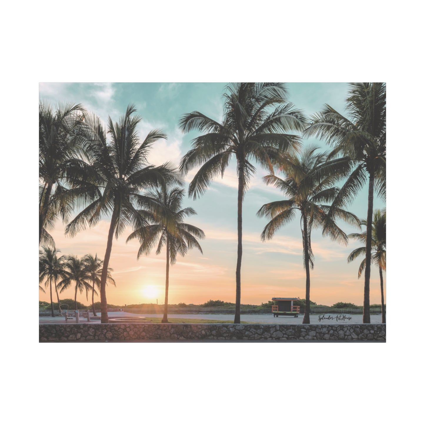 Palm Trees, Matte Canvas, Stretched, 1.25"