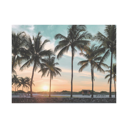 Palm Trees, Matte Canvas, Stretched, 1.25"
