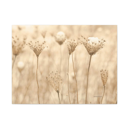 Floral, Matte Canvas, Stretched, 1.25"
