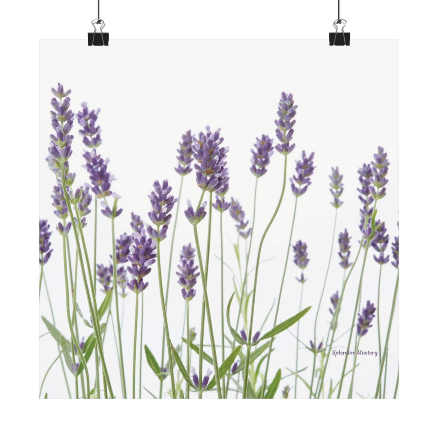 Floral, Matte Poster