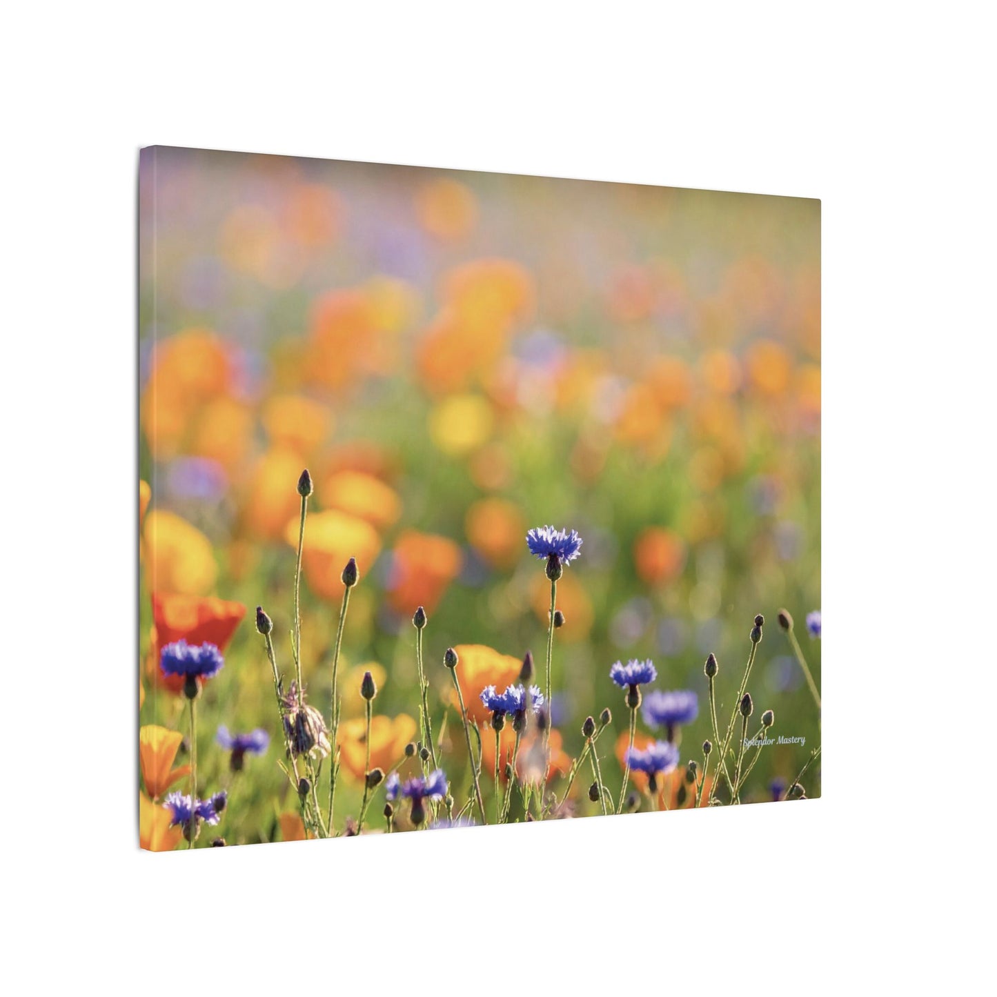 Floral, Matte Canvas, Stretched, 0.75"