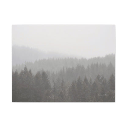 Forest, Matte Canvas, Stretched, 1.25"