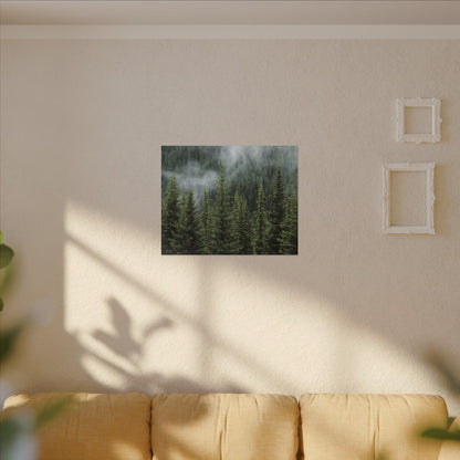 Trees, Matte Canvas, Stretched, 0.75"