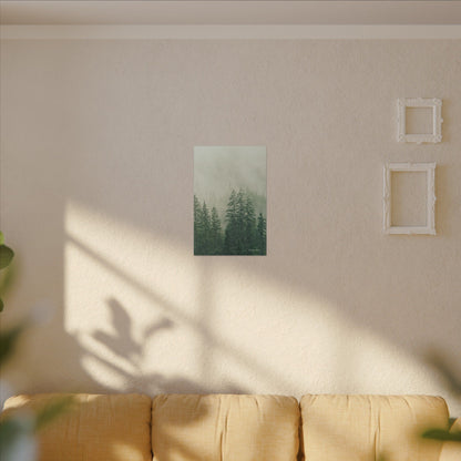 Forest Trees, Matte Canvas, Stretched, 0.75"