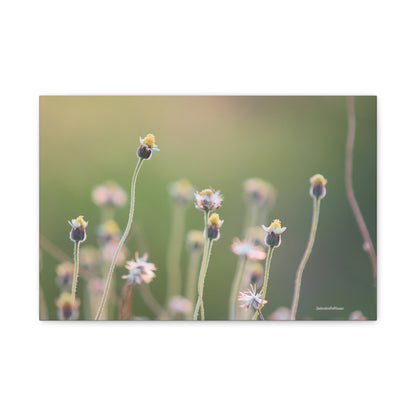 Floral, Matte Canvas, Stretched, 1.25"