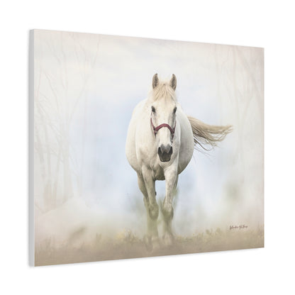 Horse, Matte Canvas, Stretched, 1.25"