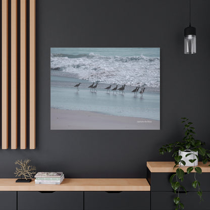 Birds, Matte Canvas, Stretched, 1.25"