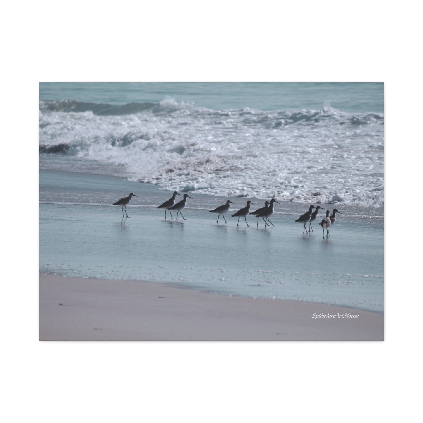Birds, Matte Canvas, Stretched, 1.25"