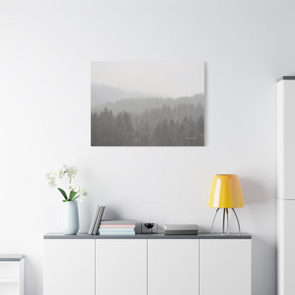 Forest, Matte Canvas, Stretched, 1.25"