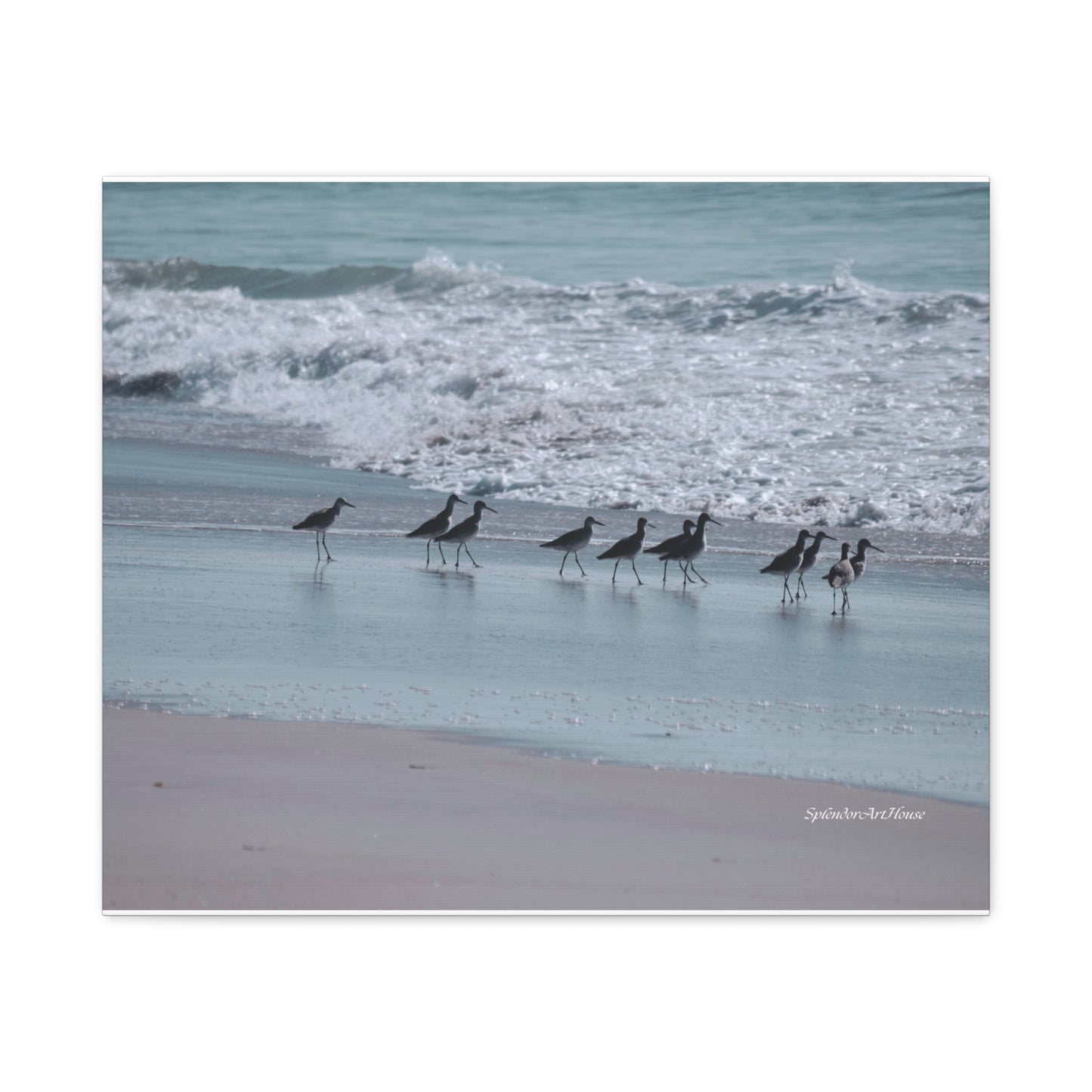 Birds, Matte Canvas, Stretched, 1.25"