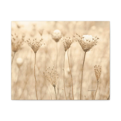 Floral, Matte Canvas, Stretched, 1.25"