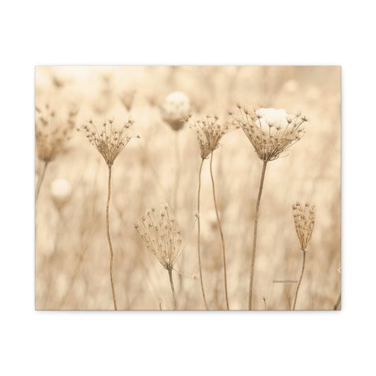 Floral, Matte Canvas, Stretched, 1.25"