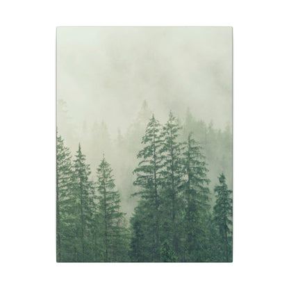 Forest Trees, Matte Canvas, Stretched, 0.75"