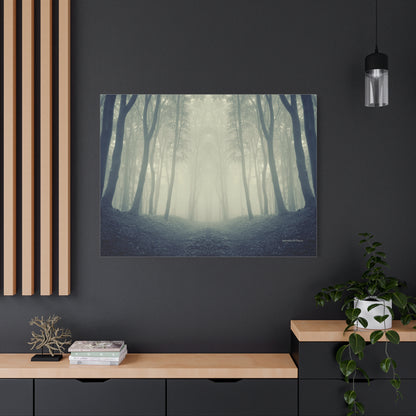 Forest, Matte Canvas, Stretched, 1.25"
