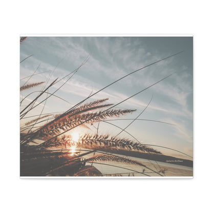 Grass, Matte Canvas, Stretched, 1.25"