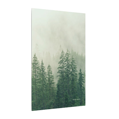 Forest Trees, Matte Canvas, Stretched, 0.75"