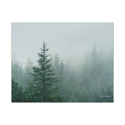 Forest Trees, Matte Canvas, Stretched, 0.75"