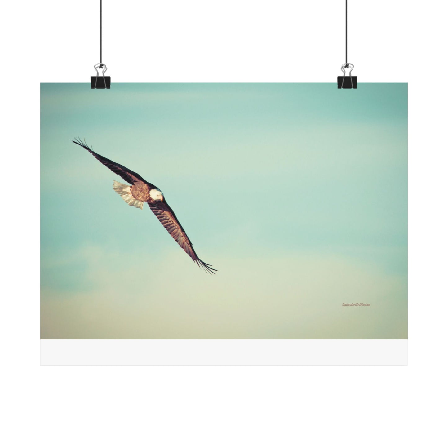Bird, Matte Horizontal Poster