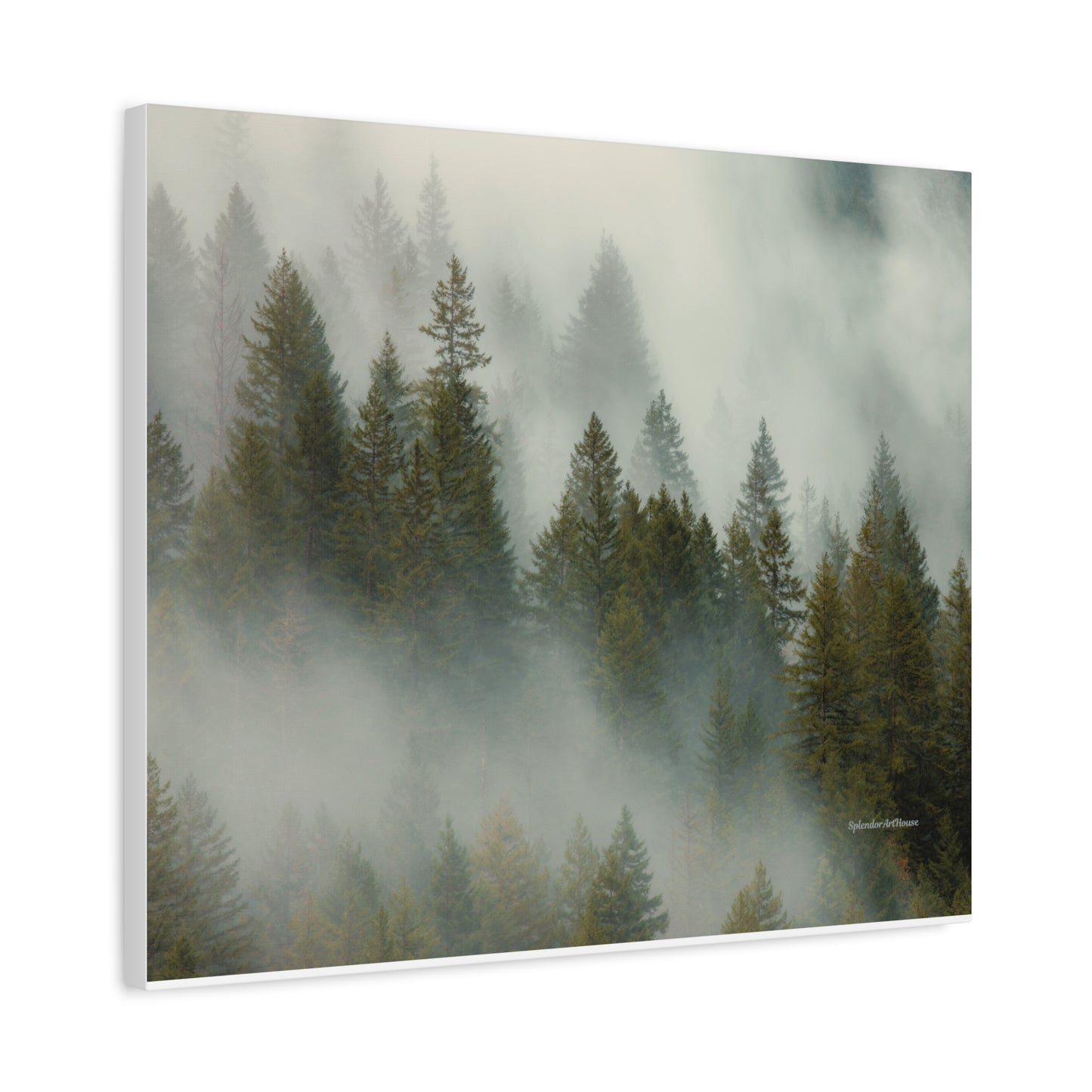Forest, Matte Canvas, Stretched, 1.25"