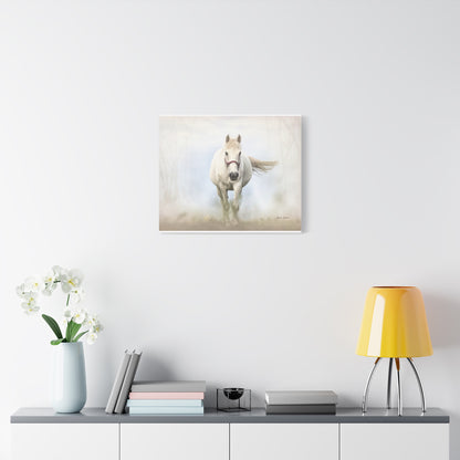Horse, Matte Canvas, Stretched, 1.25"