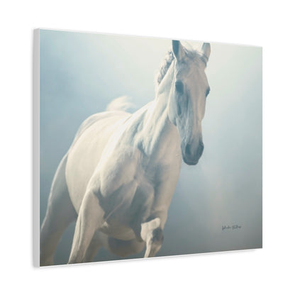 Horse, Matte Canvas, Stretched, 1.25"