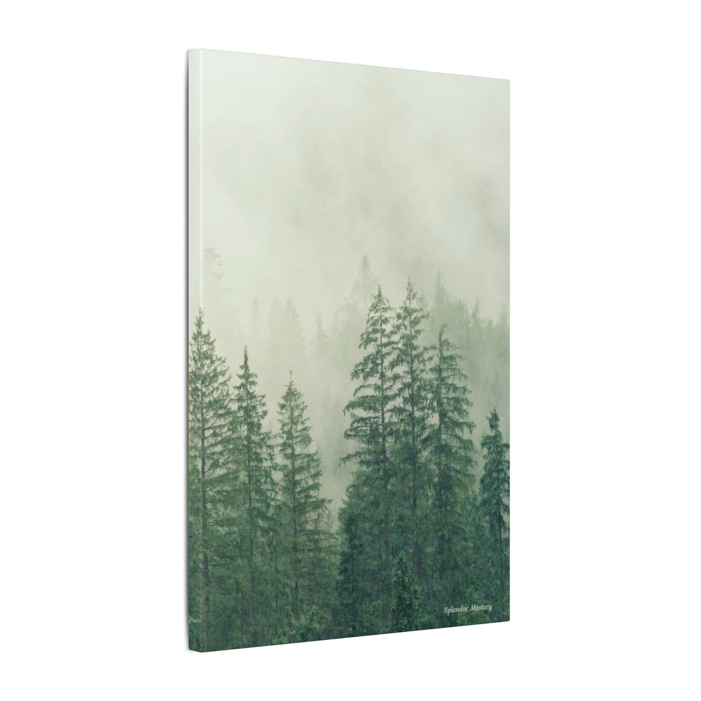 Forest Trees, Matte Canvas, Stretched, 0.75"