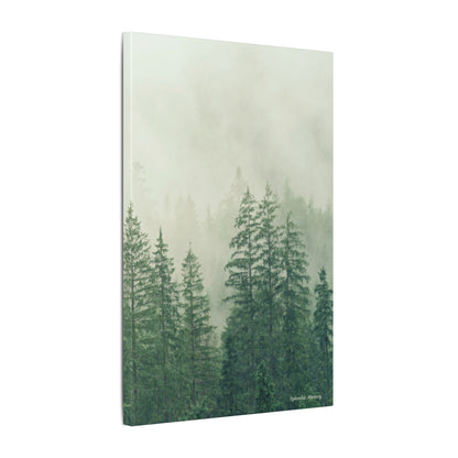 Forest Trees, Matte Canvas, Stretched, 0.75"