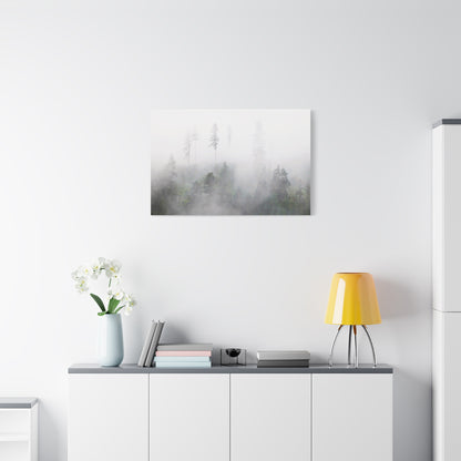 Forest, Matte Canvas, Stretched, 1.25"