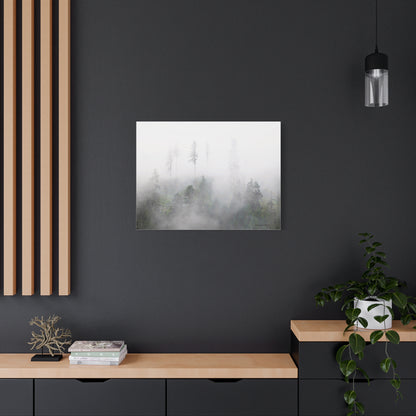 Forest, Matte Canvas, Stretched, 1.25"