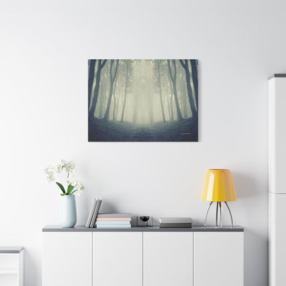 Forest, Matte Canvas, Stretched, 1.25"