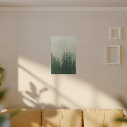 Forest Trees, Matte Canvas, Stretched, 0.75"