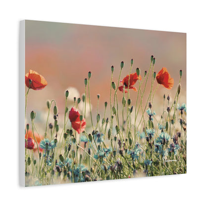 Floral, Matte Canvas, Stretched, 1.25"